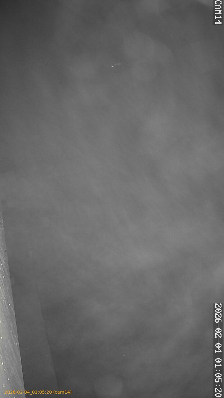 thumbnail_20260204010520