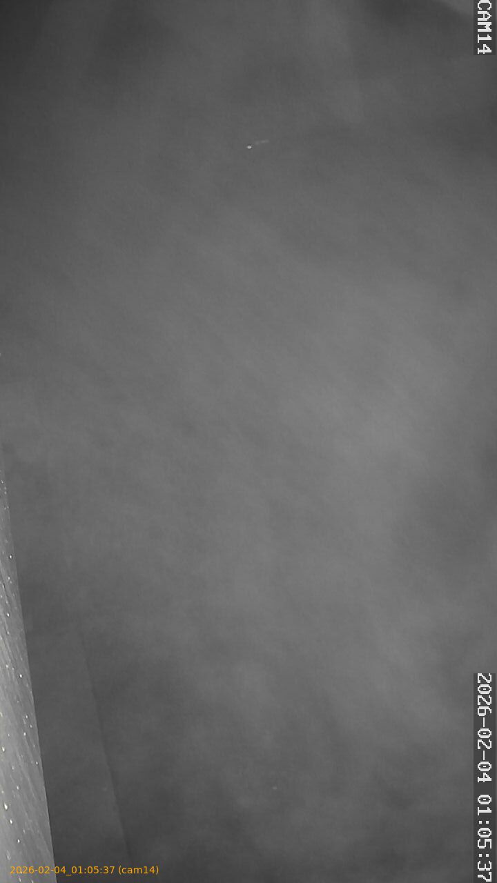 thumbnail_20260204010537