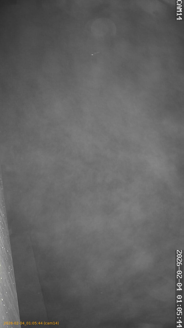 thumbnail_20260204010544