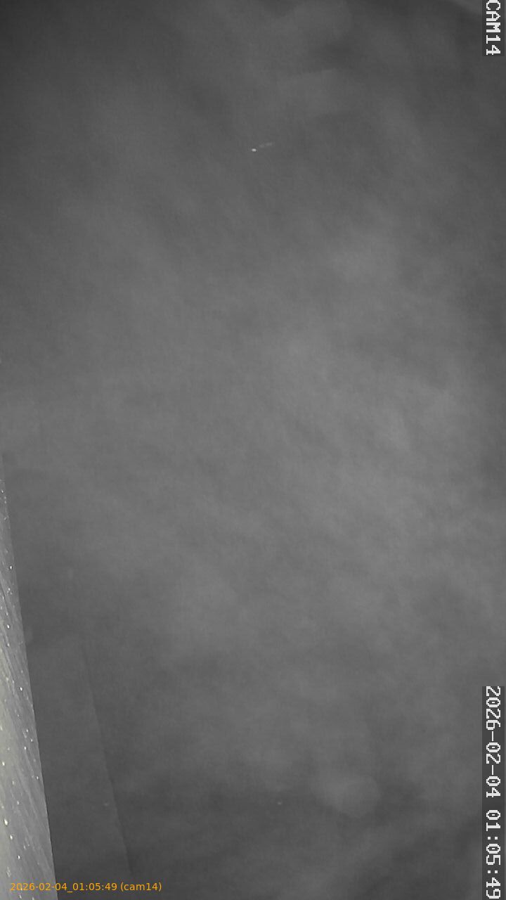 thumbnail_20260204010549