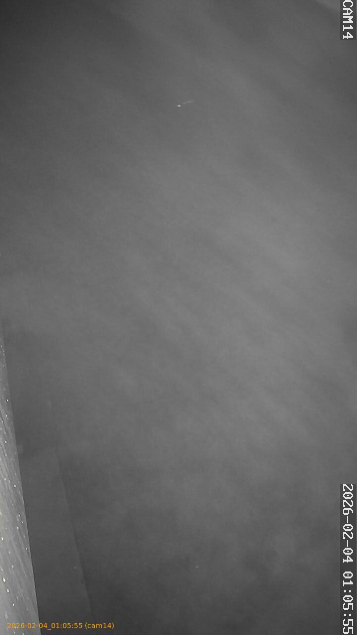 thumbnail_20260204010555