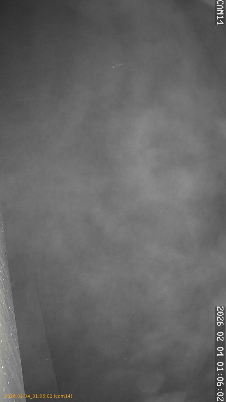 thumbnail_20260204010602