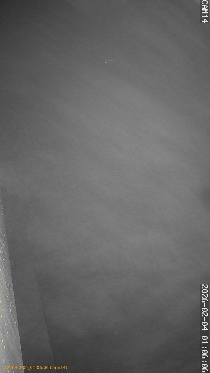 thumbnail_20260204010606