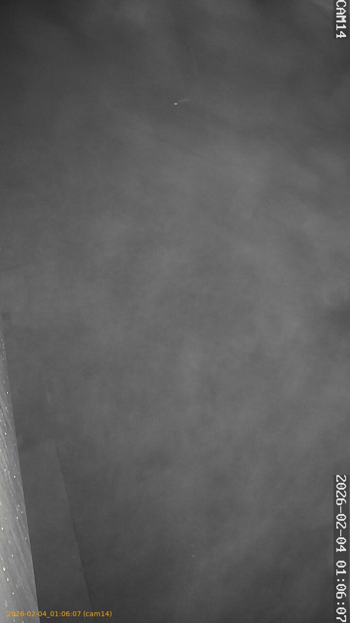 thumbnail_20260204010607