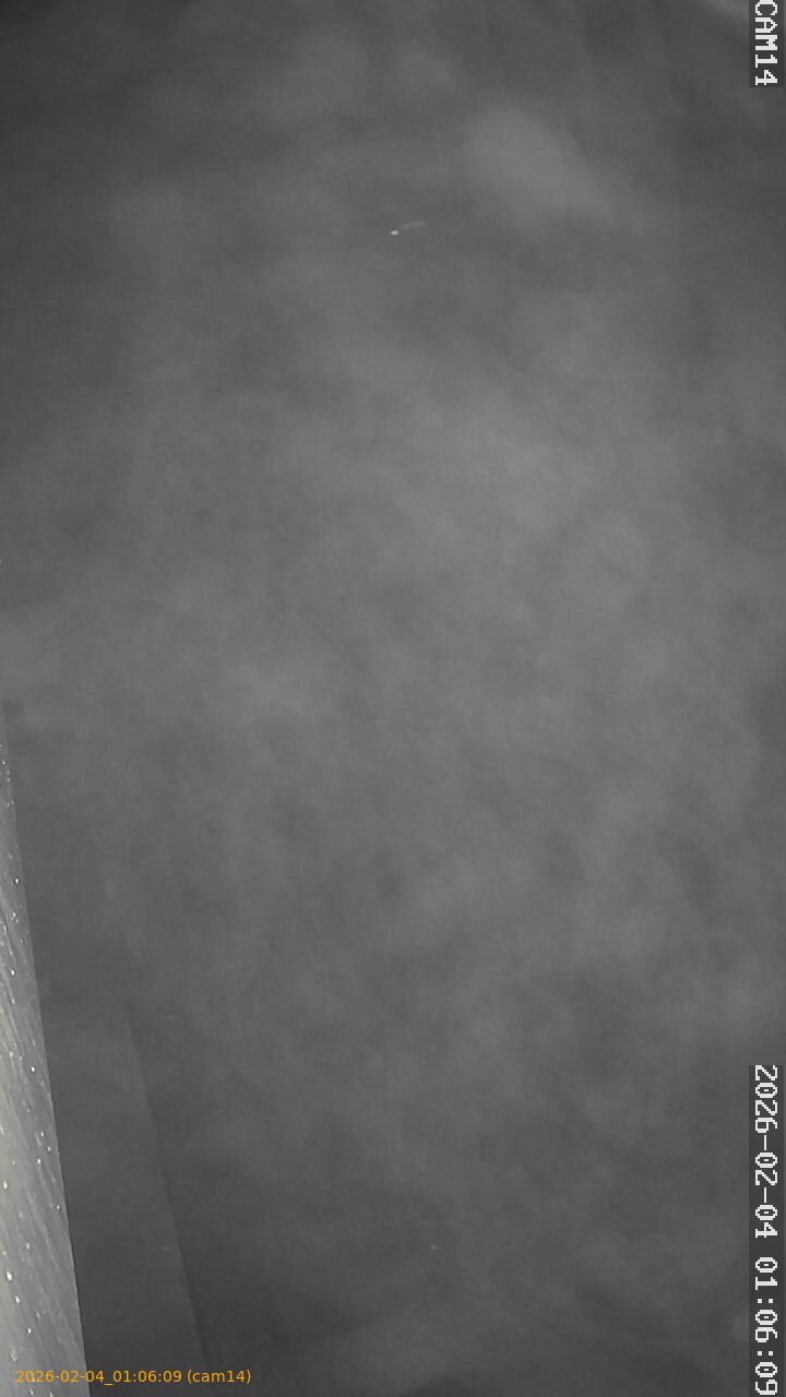 thumbnail_20260204010609