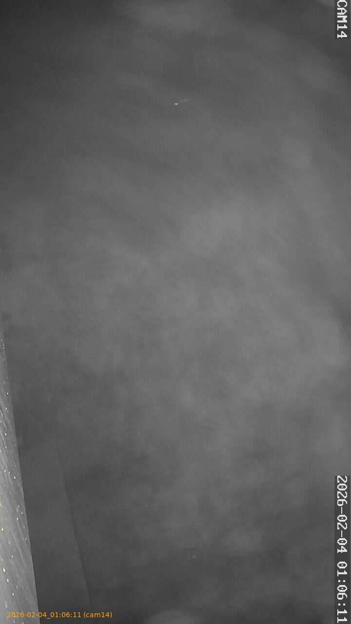 thumbnail_20260204010611