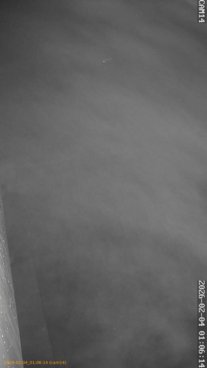 thumbnail_20260204010614