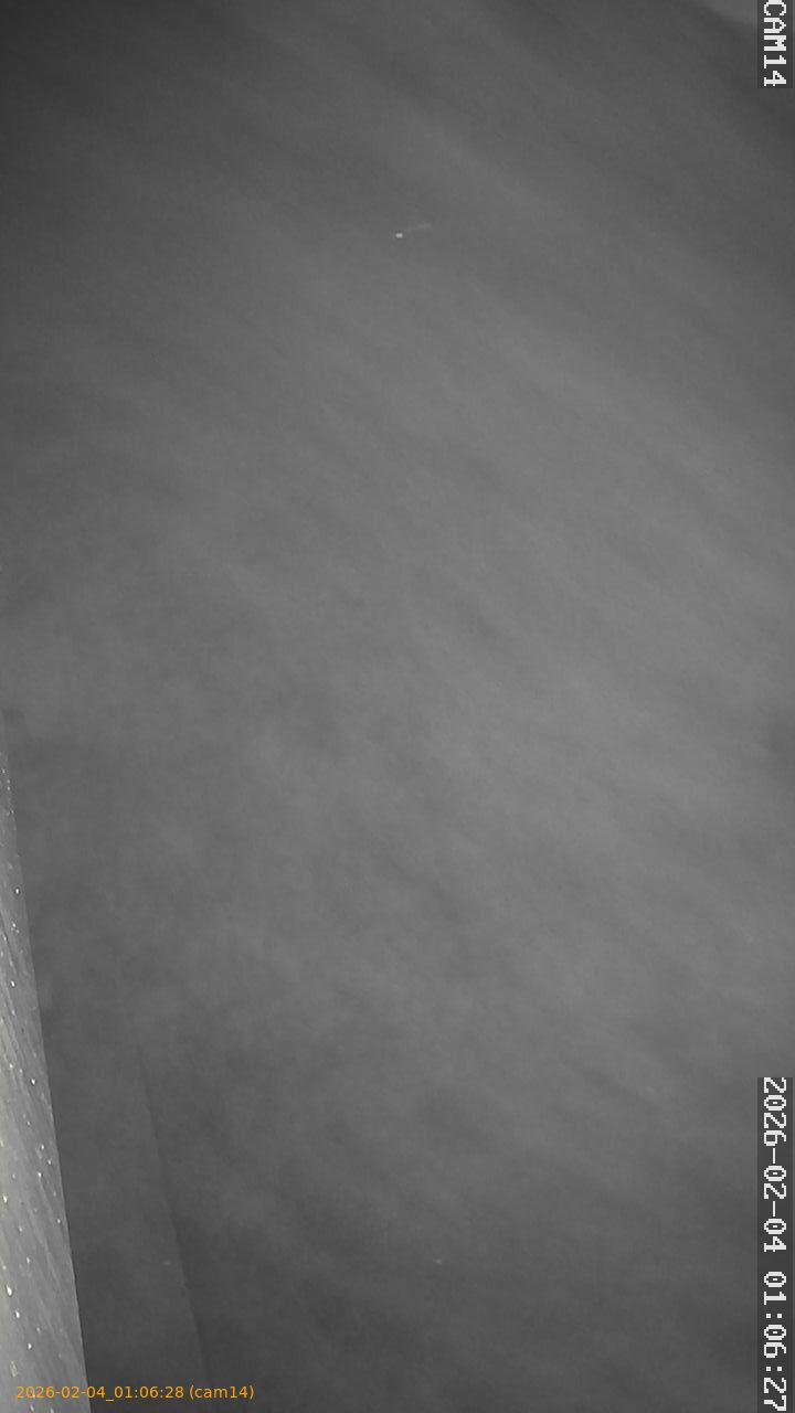 thumbnail_20260204010628