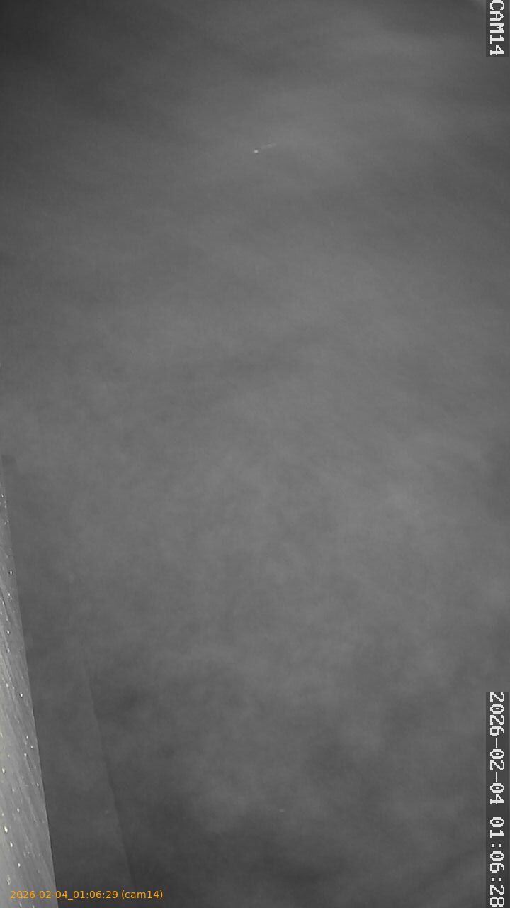 thumbnail_20260204010629