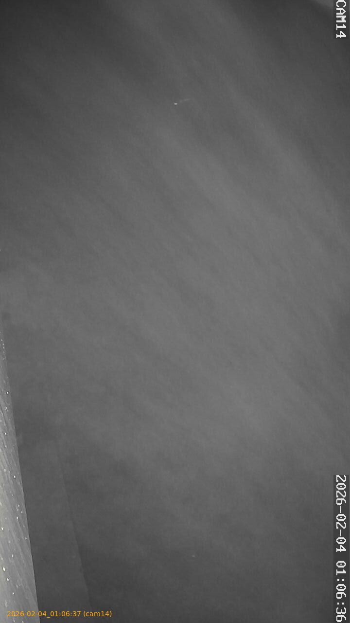 thumbnail_20260204010637