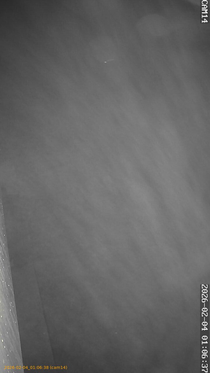 thumbnail_20260204010638