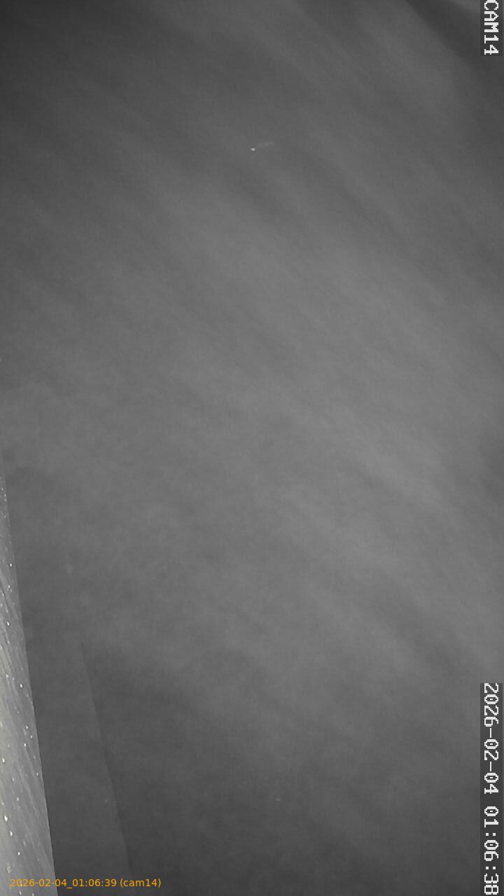 thumbnail_20260204010639