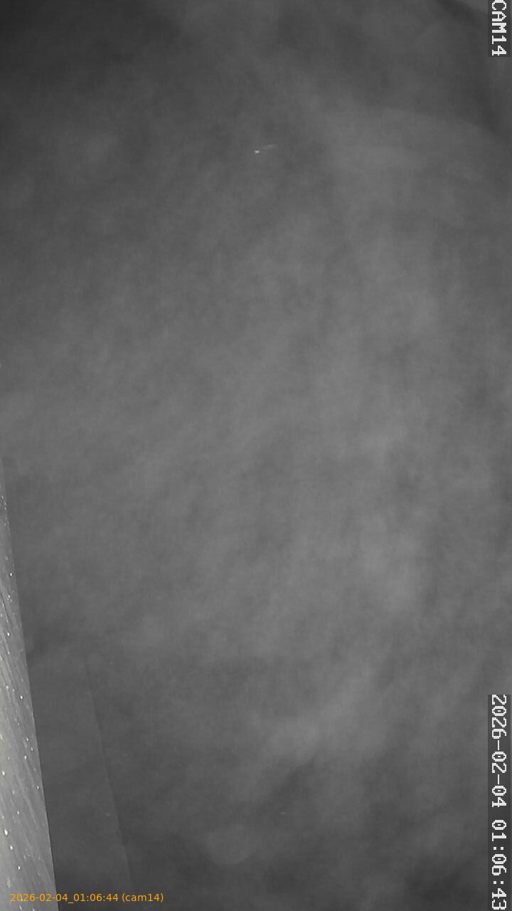 thumbnail_20260204010644