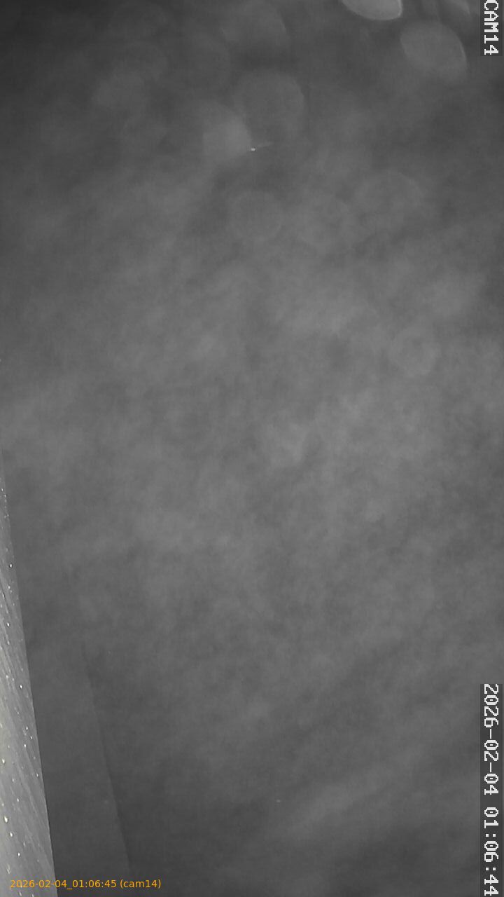 thumbnail_20260204010645