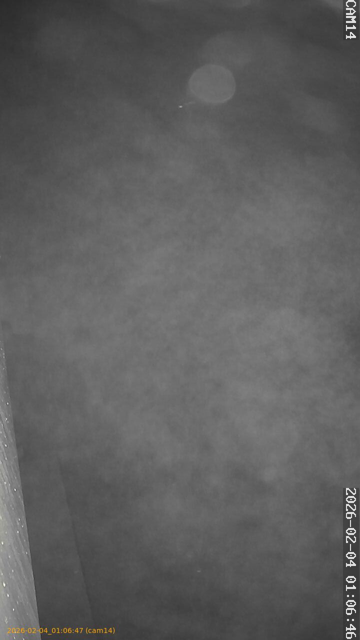 thumbnail_20260204010647