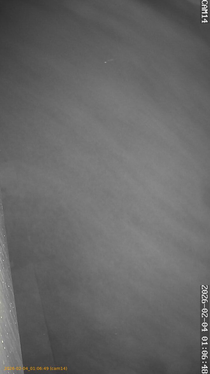 thumbnail_20260204010649