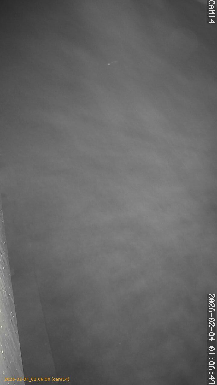 thumbnail_20260204010650