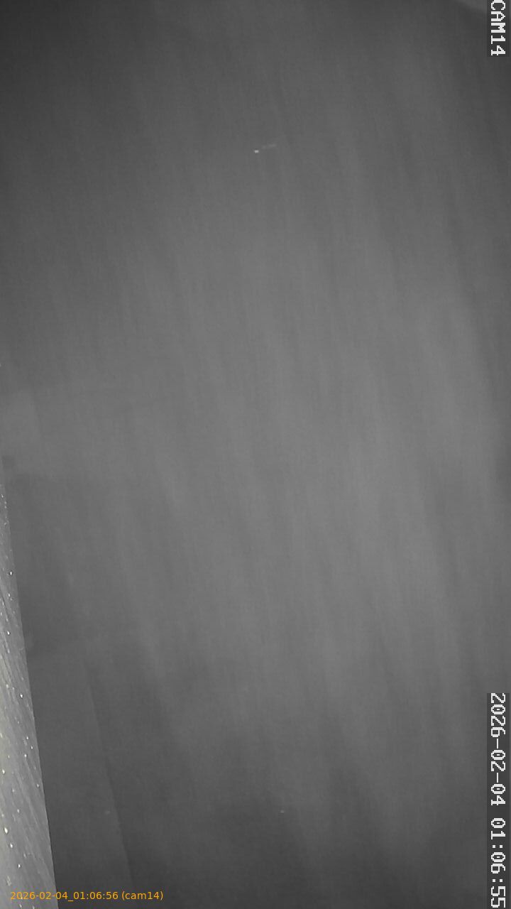 thumbnail_20260204010656