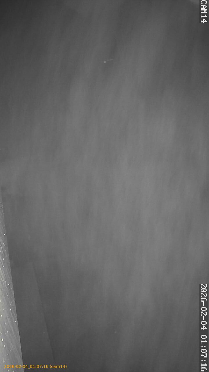 thumbnail_20260204010716