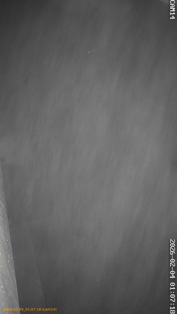 thumbnail_20260204010718