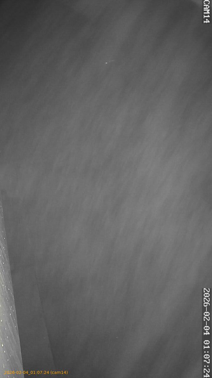 thumbnail_20260204010724