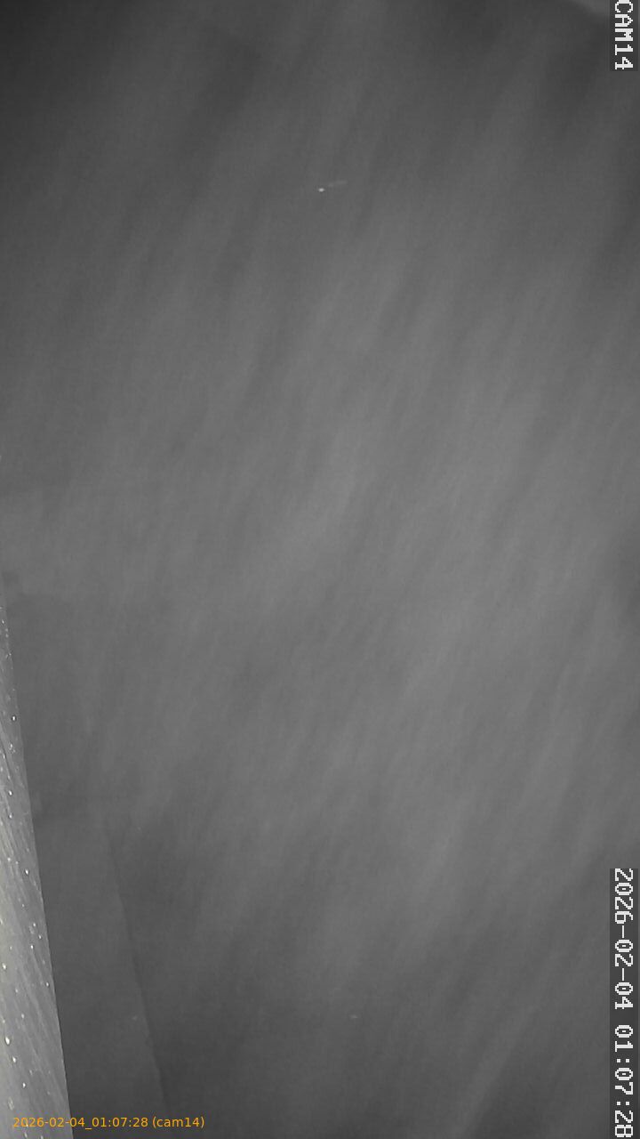 thumbnail_20260204010728