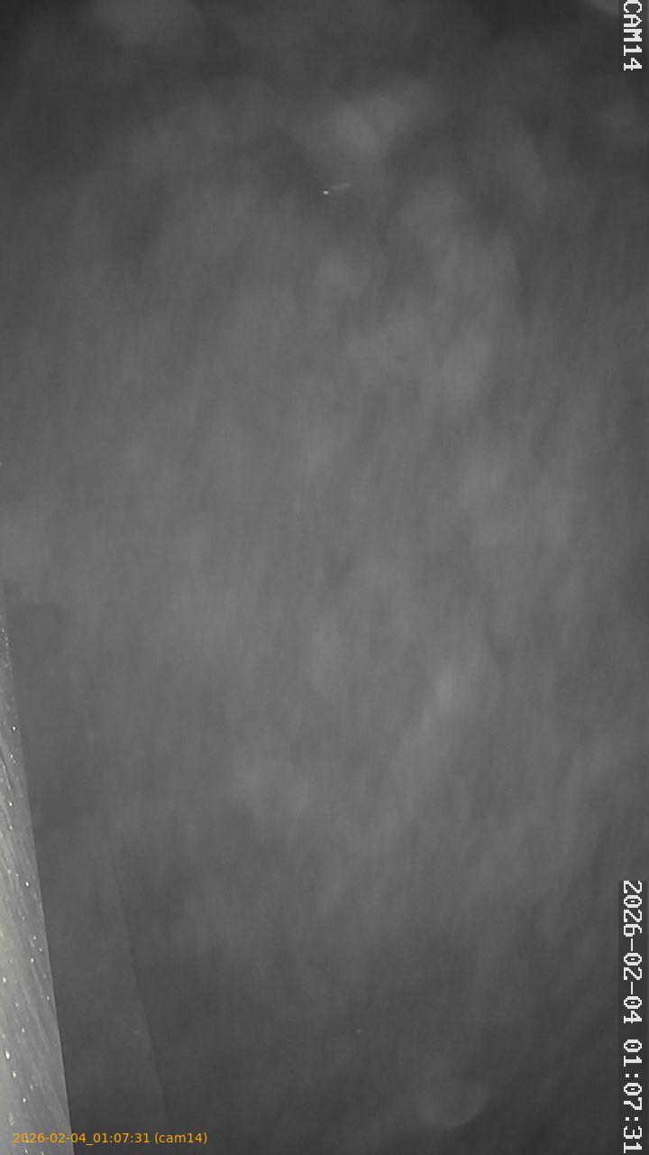 thumbnail_20260204010731