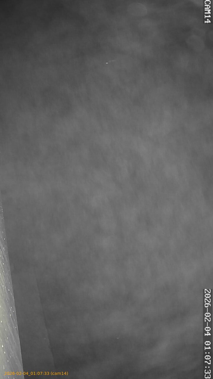 thumbnail_20260204010733