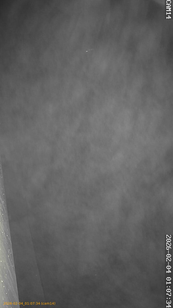 thumbnail_20260204010734