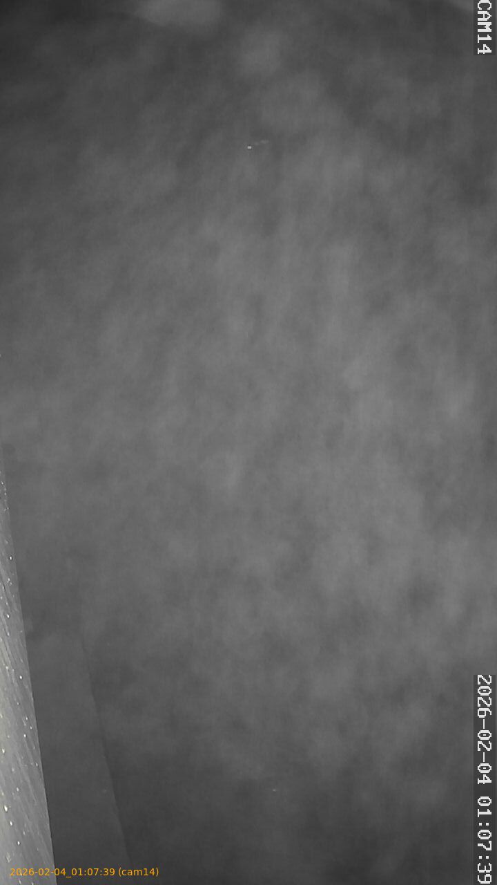 thumbnail_20260204010739