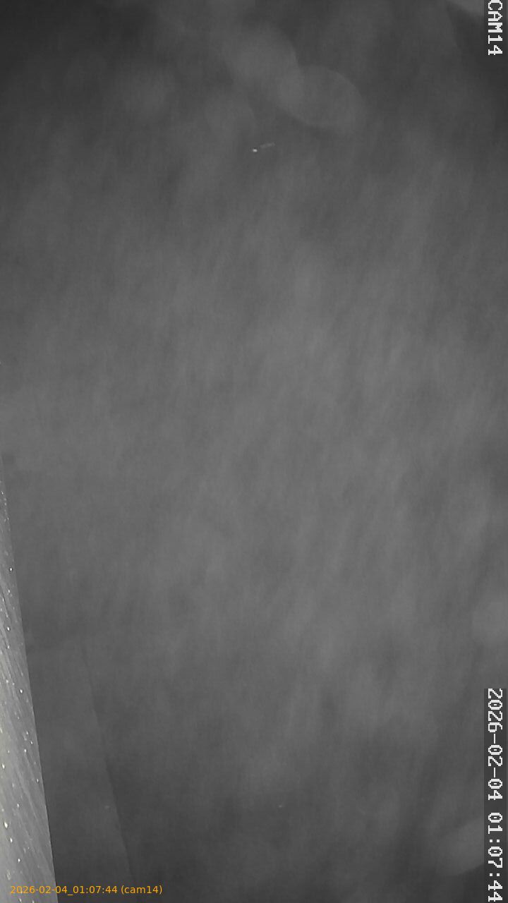 thumbnail_20260204010744