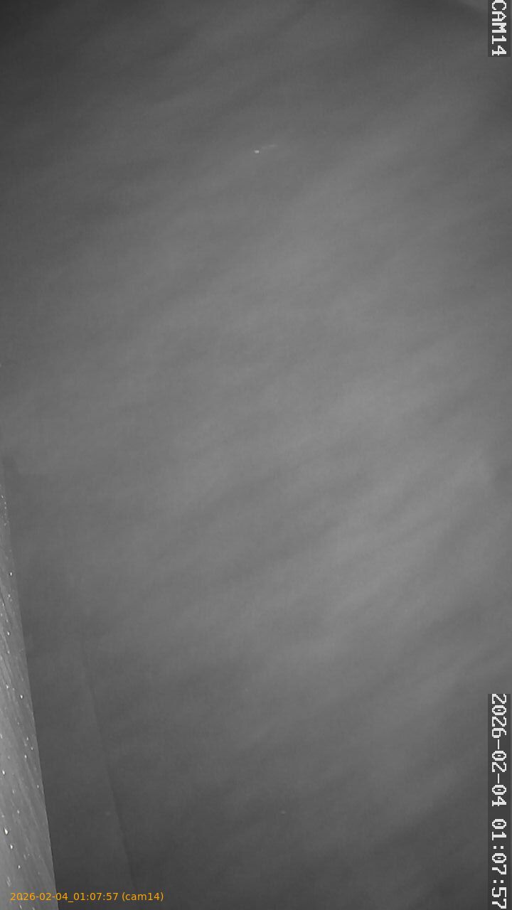 thumbnail_20260204010757