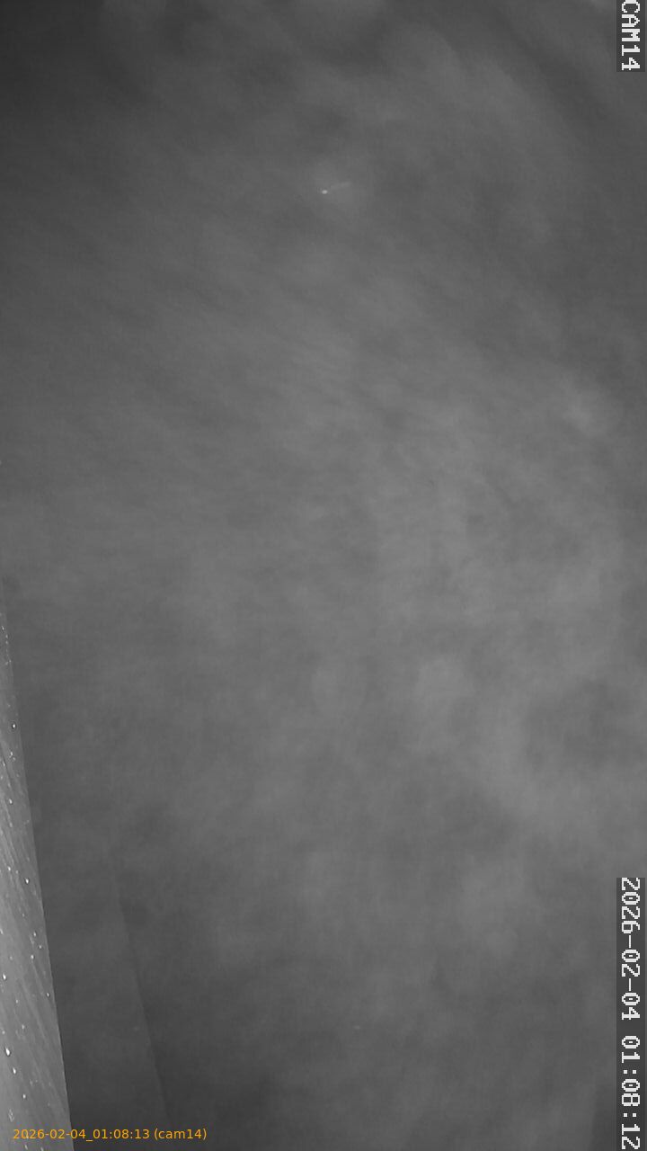 thumbnail_20260204010813