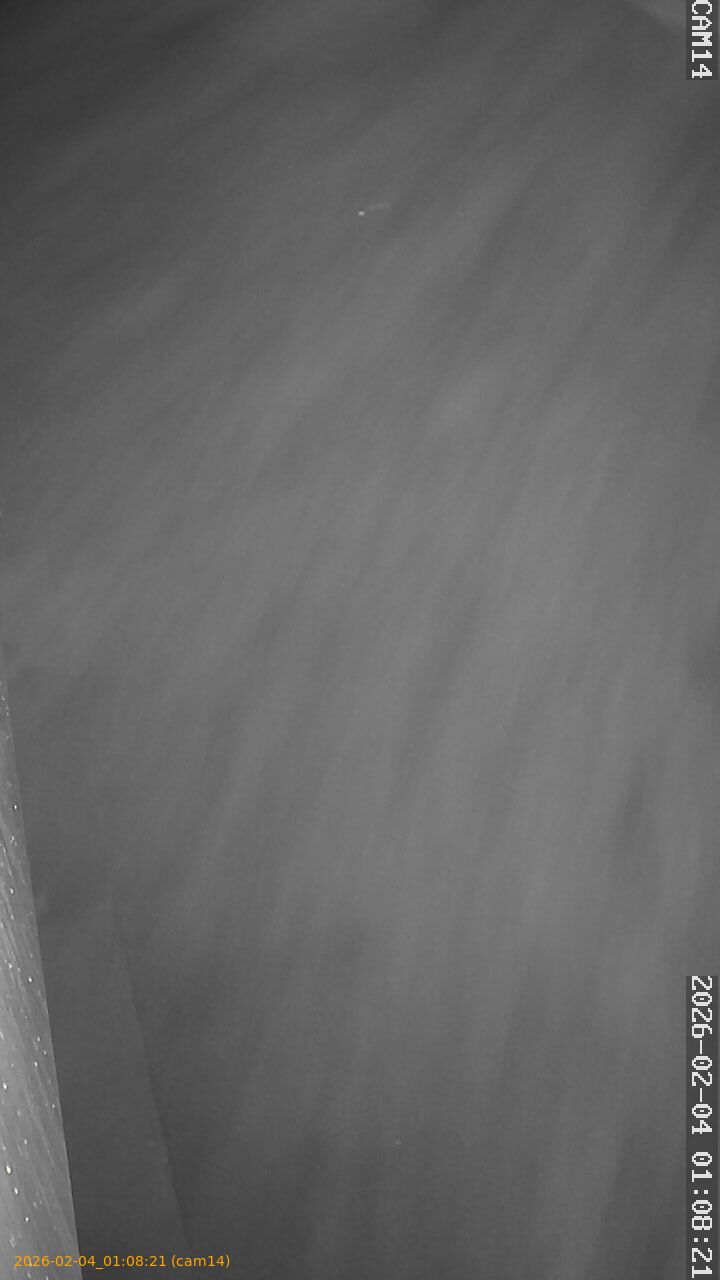 thumbnail_20260204010821