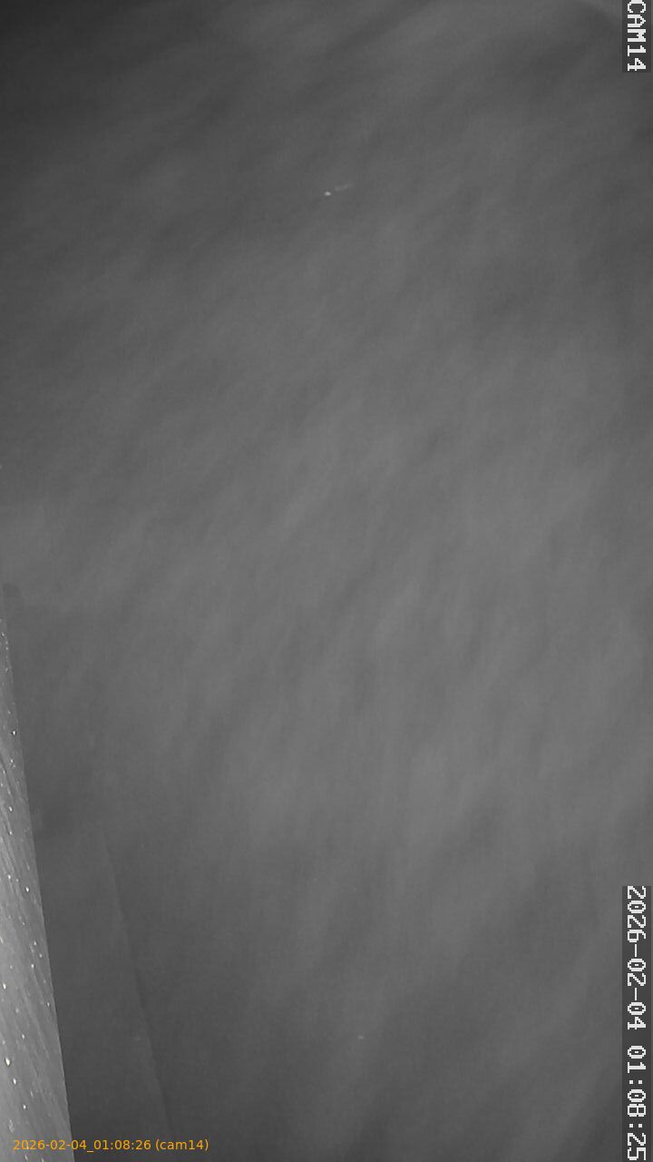 thumbnail_20260204010826