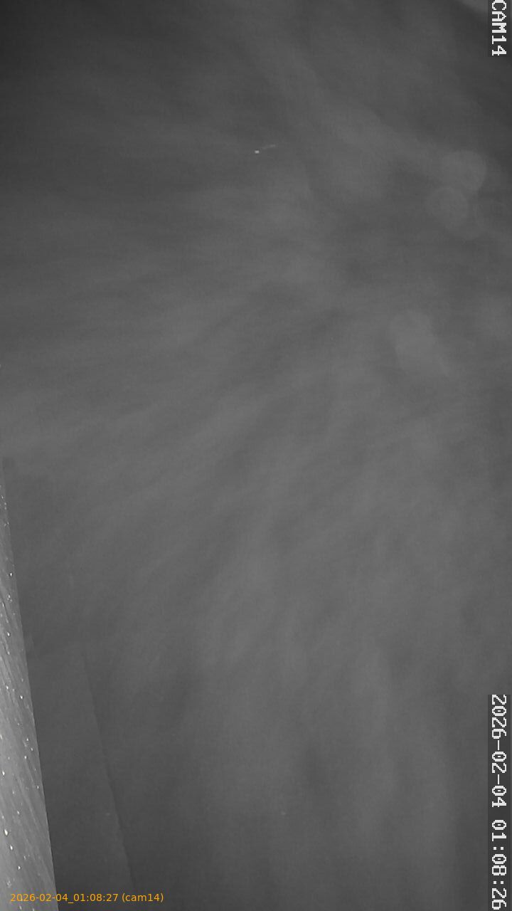 thumbnail_20260204010827