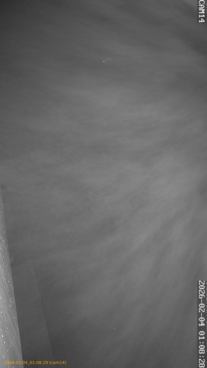 thumbnail_20260204010829