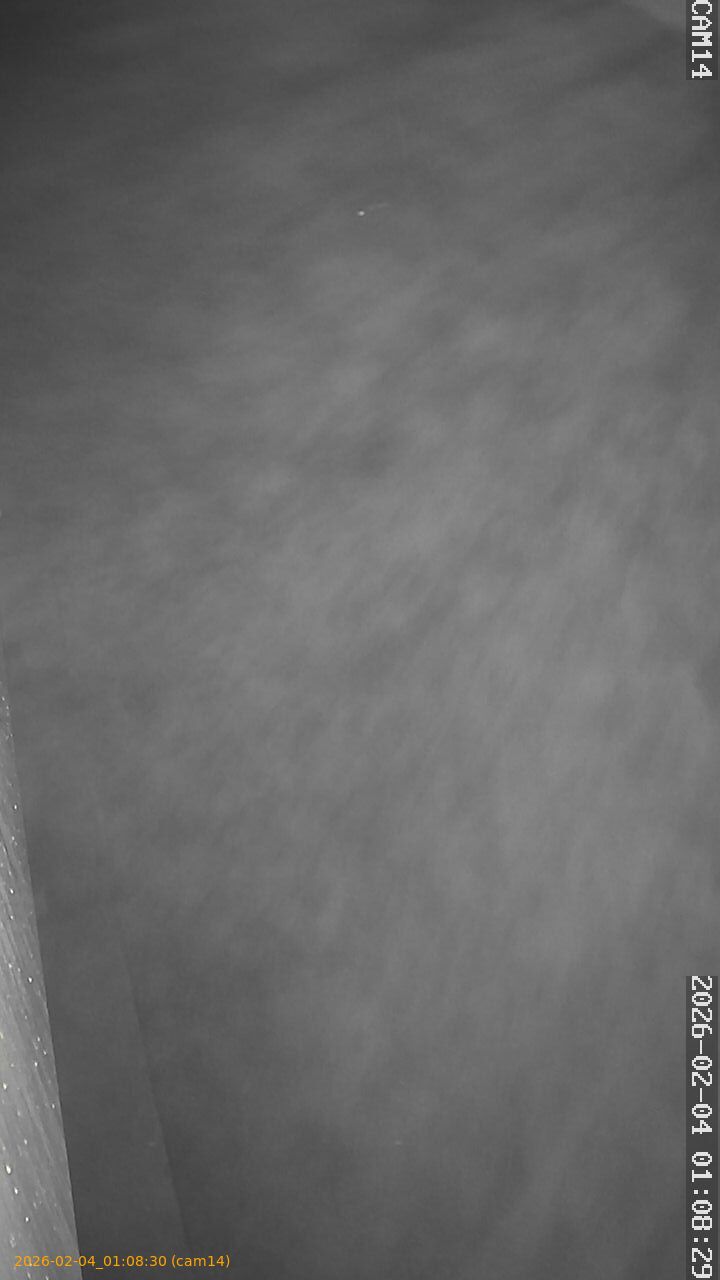 thumbnail_20260204010830