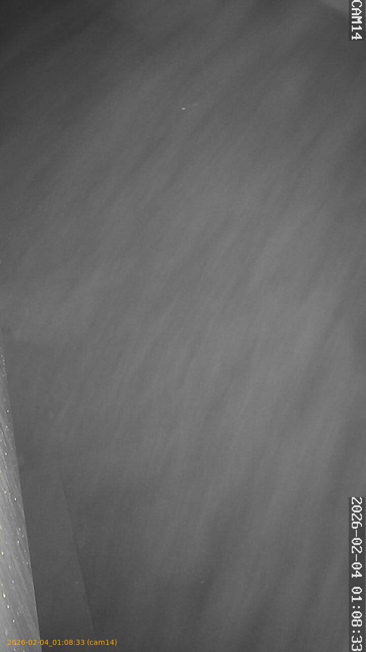 thumbnail_20260204010833