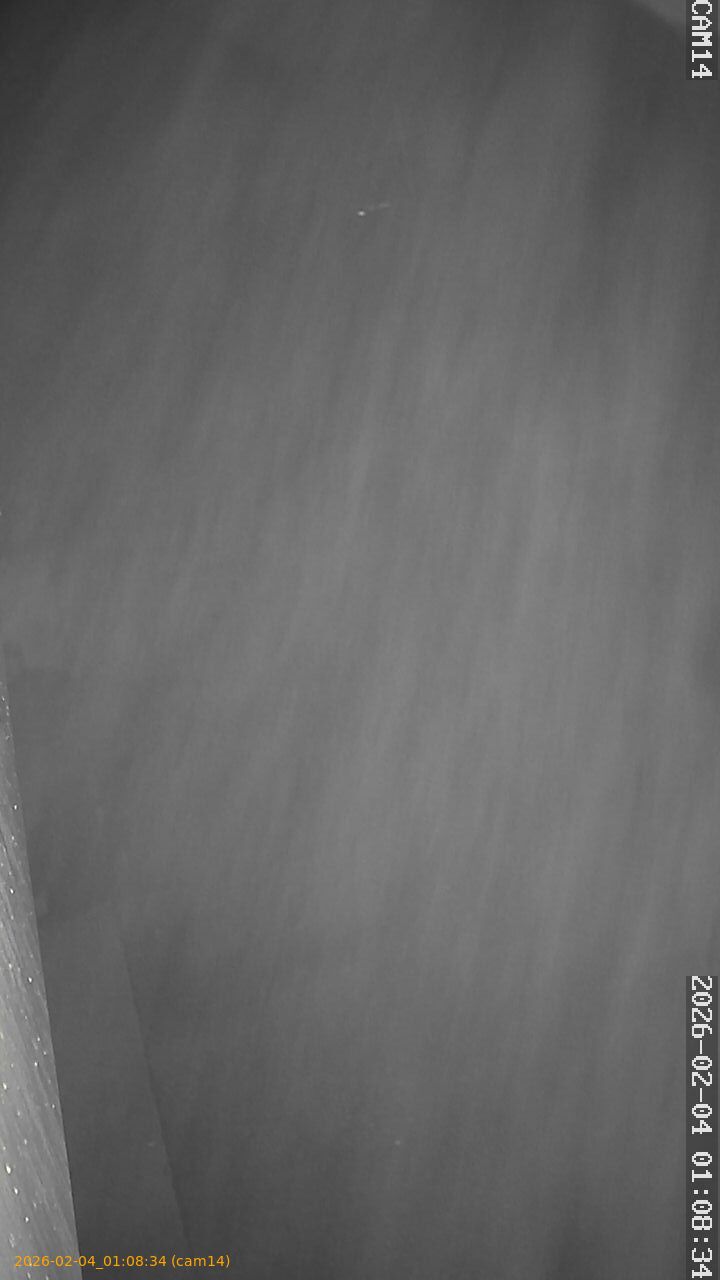 thumbnail_20260204010834