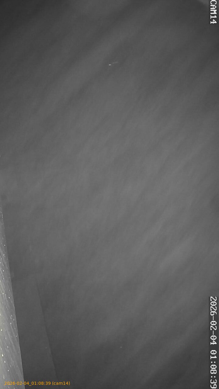 thumbnail_20260204010839