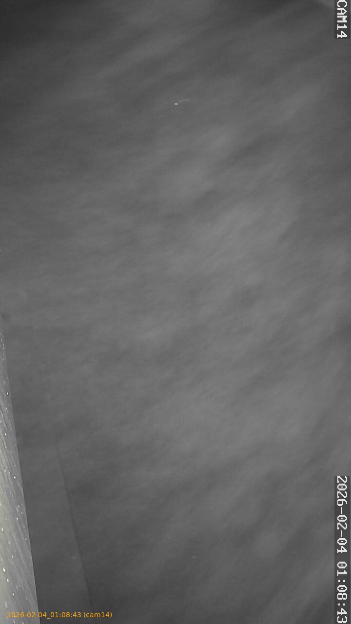 thumbnail_20260204010843