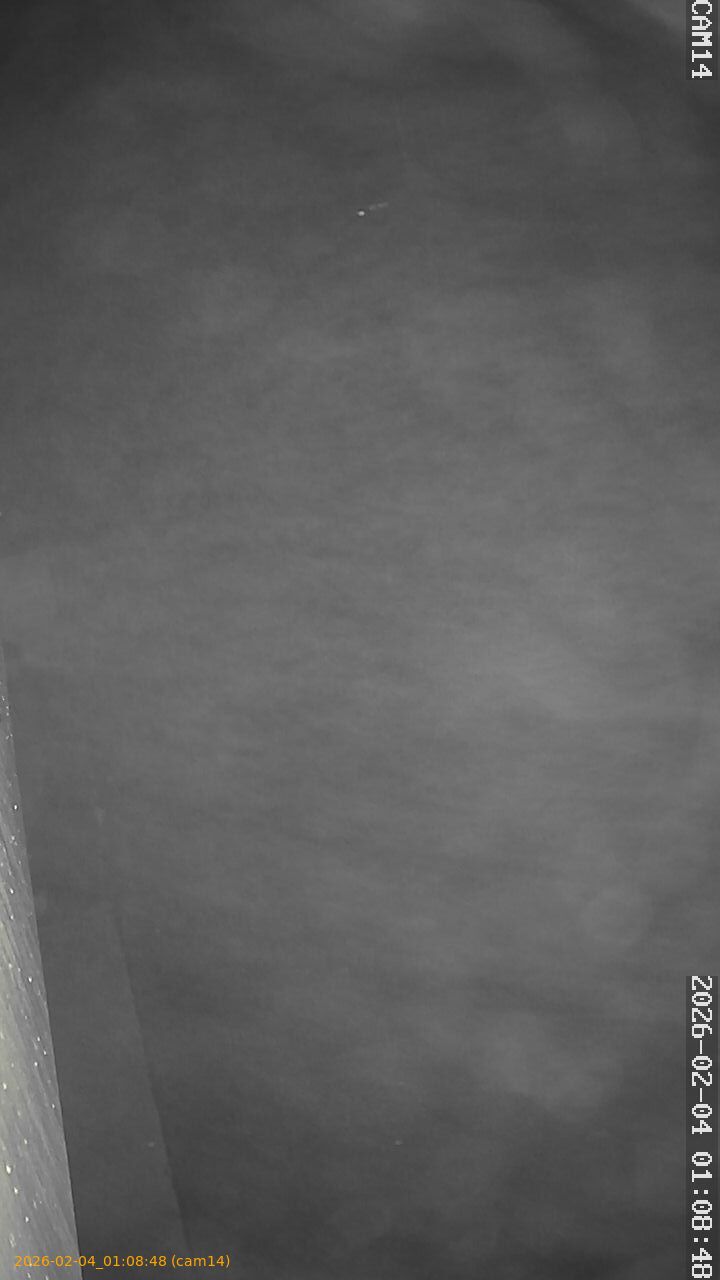 thumbnail_20260204010848