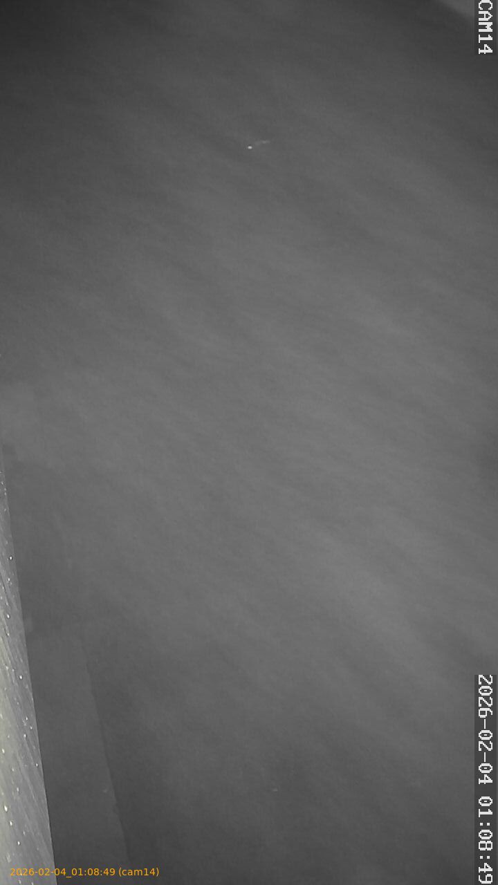 thumbnail_20260204010849