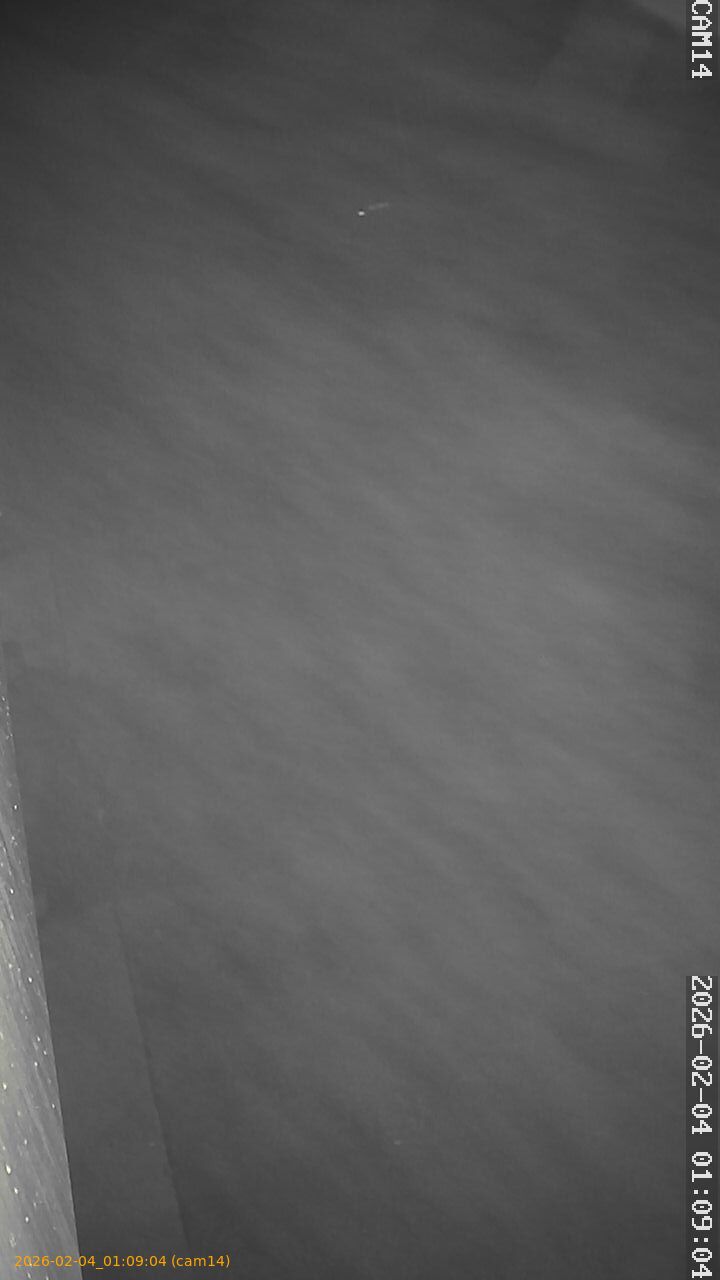 thumbnail_20260204010904