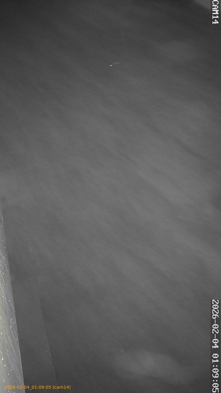 thumbnail_20260204010905