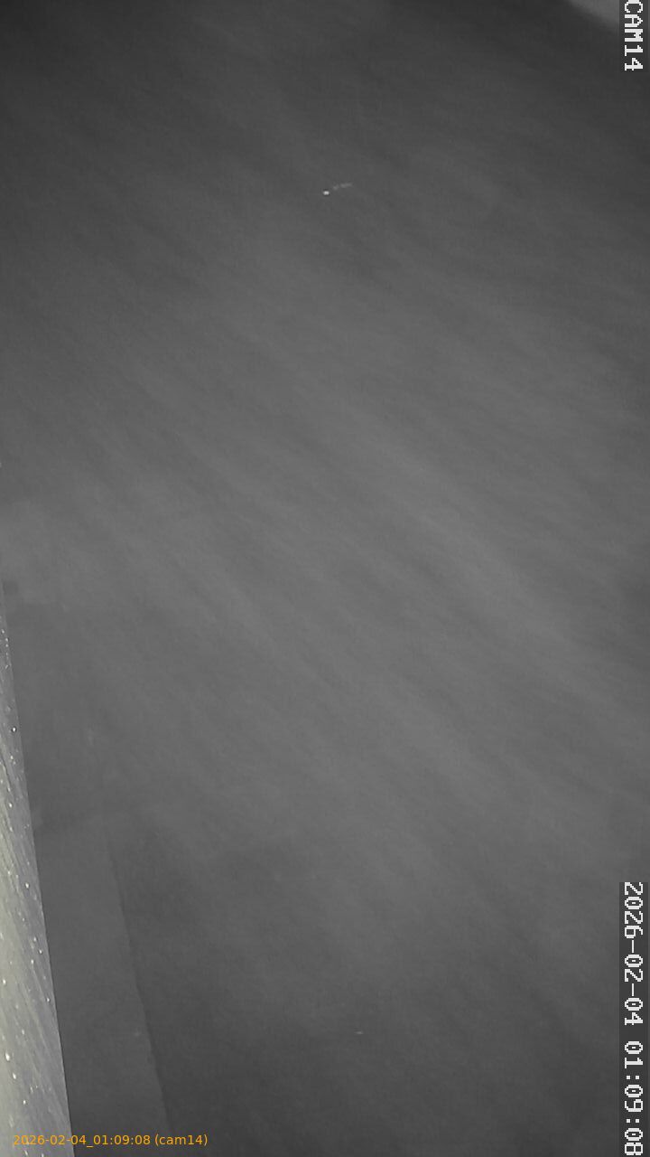 thumbnail_20260204010908