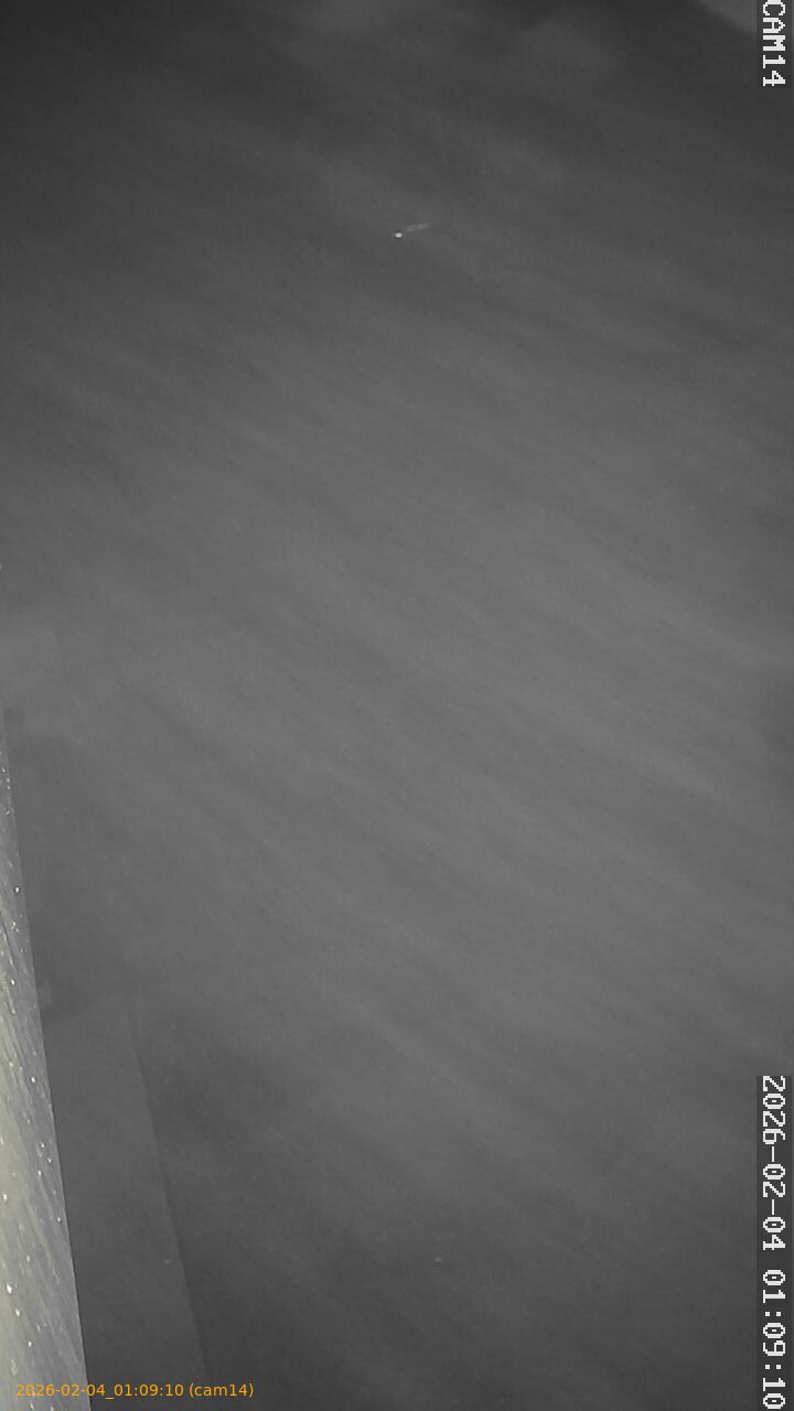 thumbnail_20260204010910