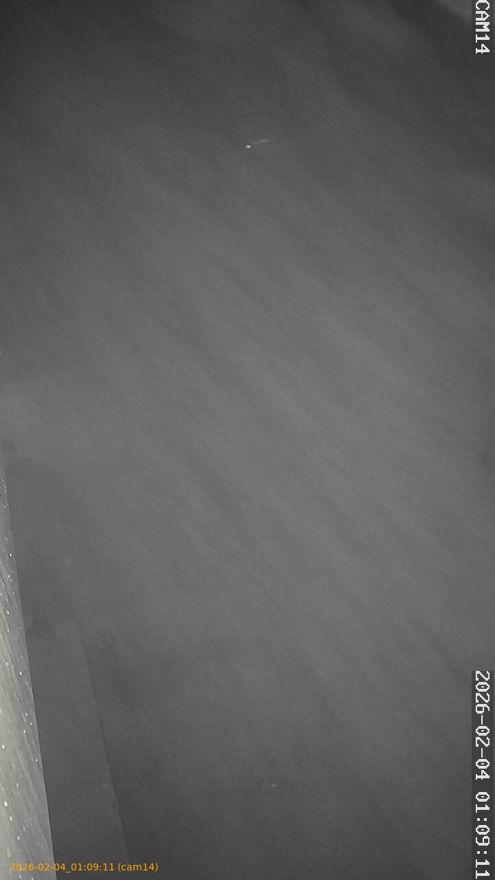 thumbnail_20260204010911