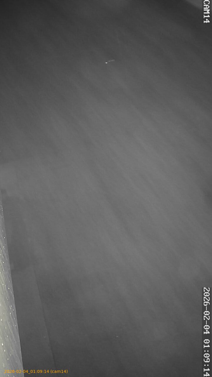 thumbnail_20260204010914